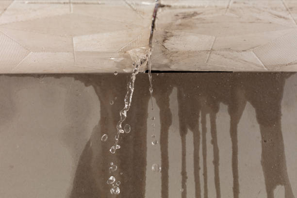 Professional Flood Damage Cleanup technician working in Rice, MN